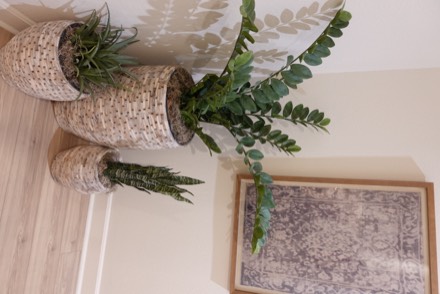 Decorative plants in woven baskets beside a framed textile